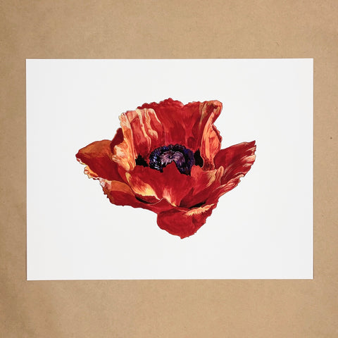 Poppy Flower Print