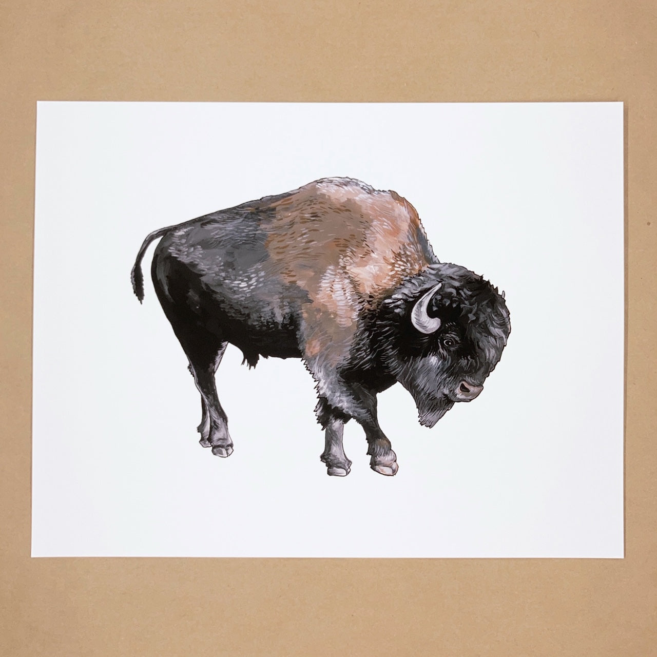 Bison Print