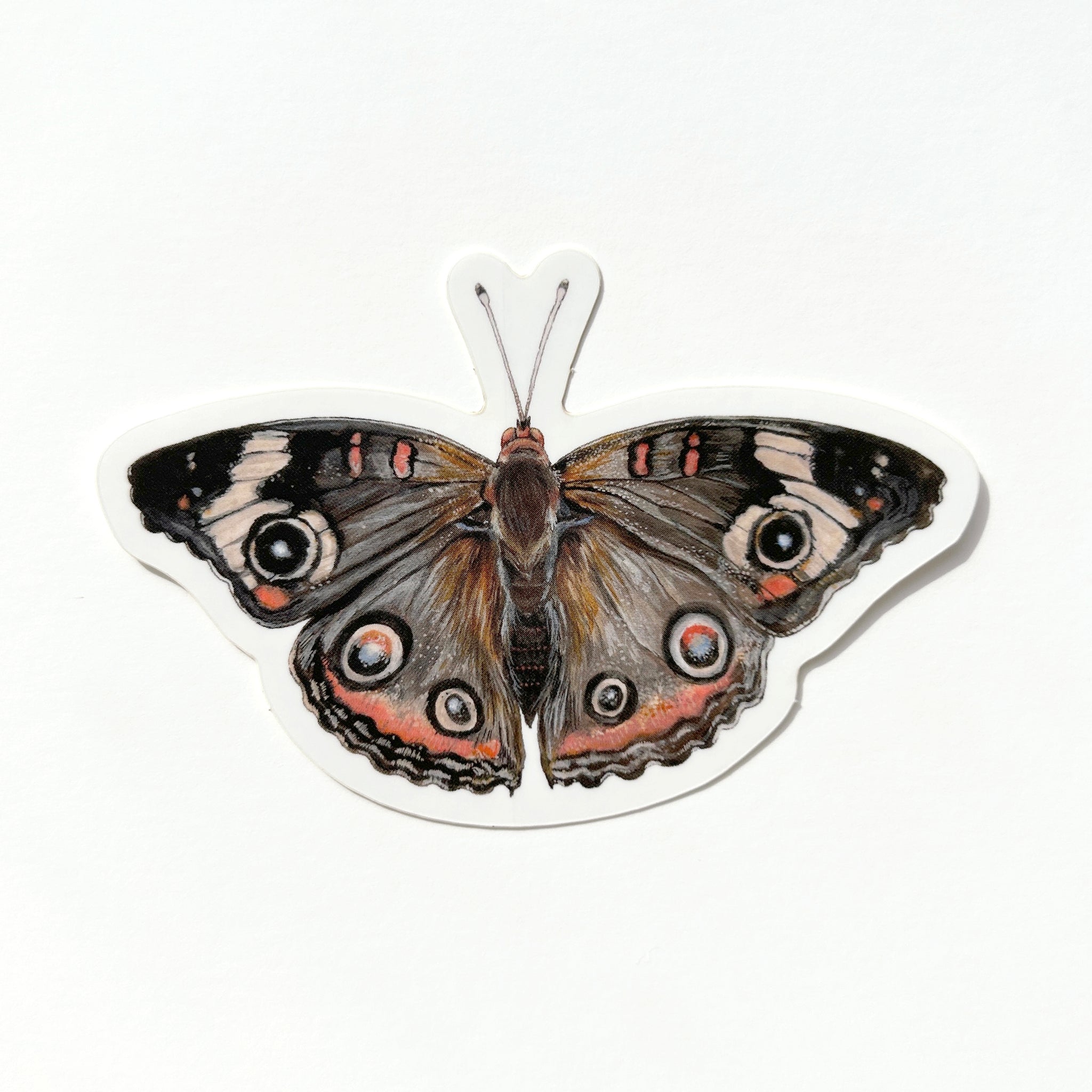 Butterfly Sticker