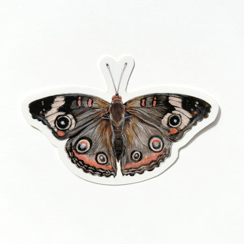 Butterfly Sticker