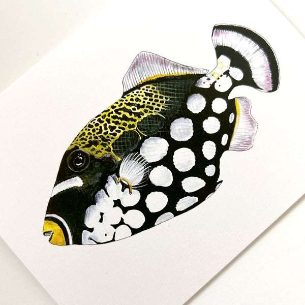 Clown Trigger Fish Card