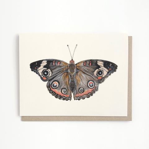 Common Buckeye Butterfly Card