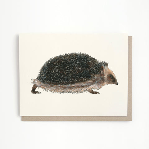 Hedgehog Card