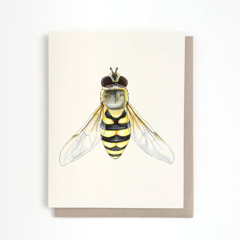 Hoverfly Card