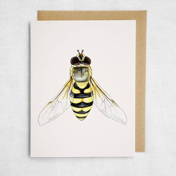 Insect 6 Card Set
