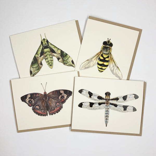 Insect 8 Card Set