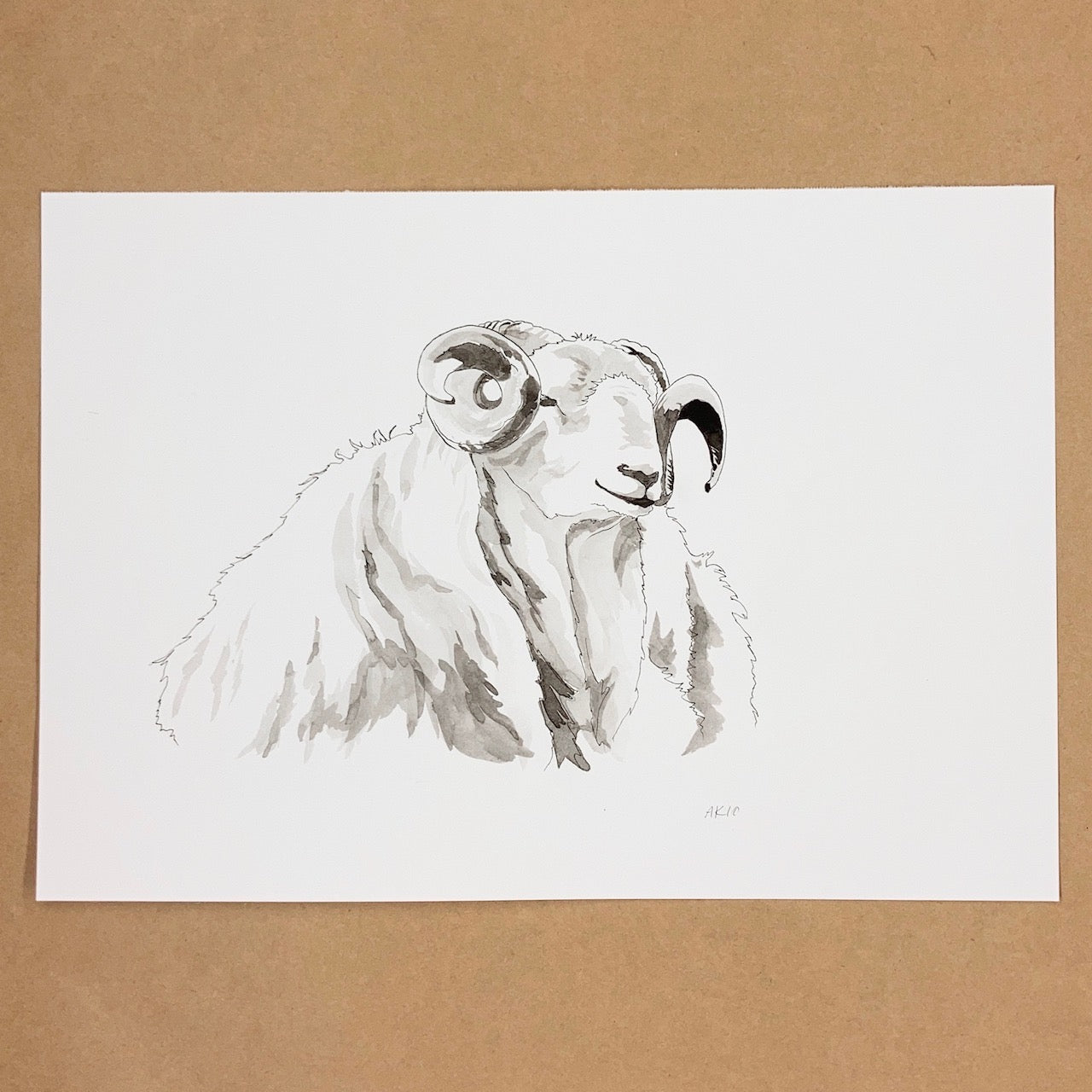 Original Ram Pen & Ink Drawing