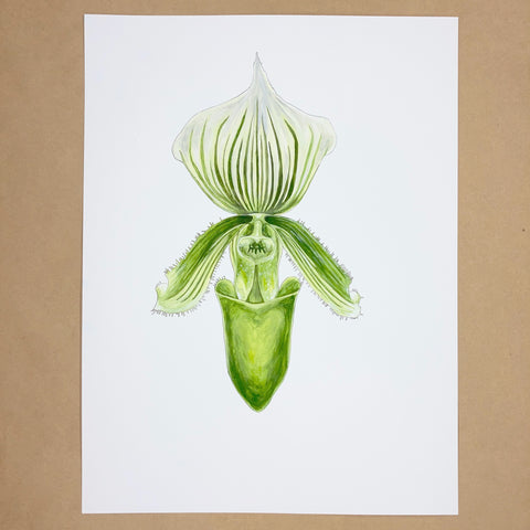 Original Lady Slipper Orchid Painting