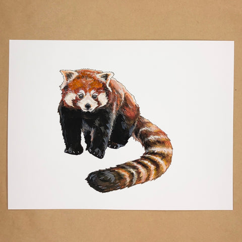 Original Red Panda Painting