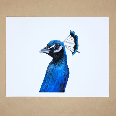 Peacock Head Print