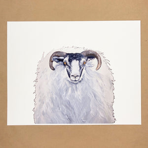 Horned Sheep Print