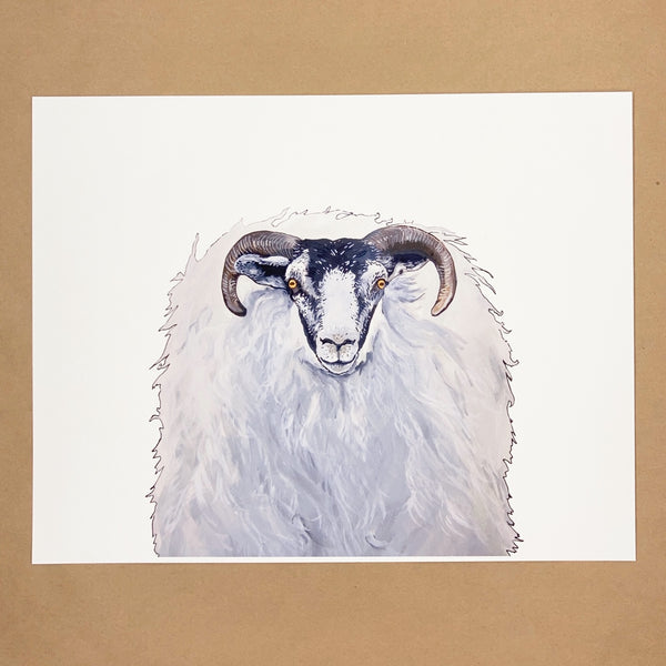 Horned Sheep Print