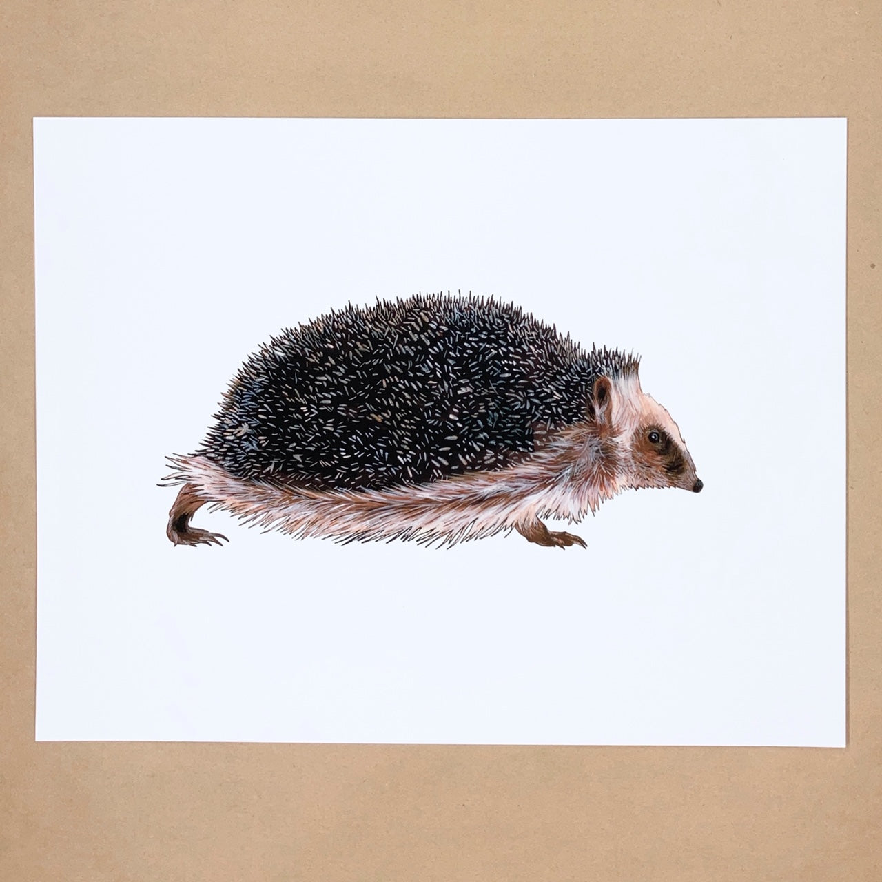 Hedgehog Print