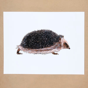 Hedgehog Print