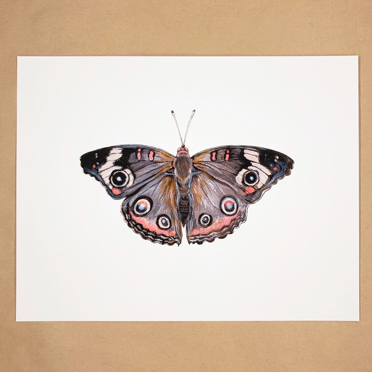 Butterfly Print