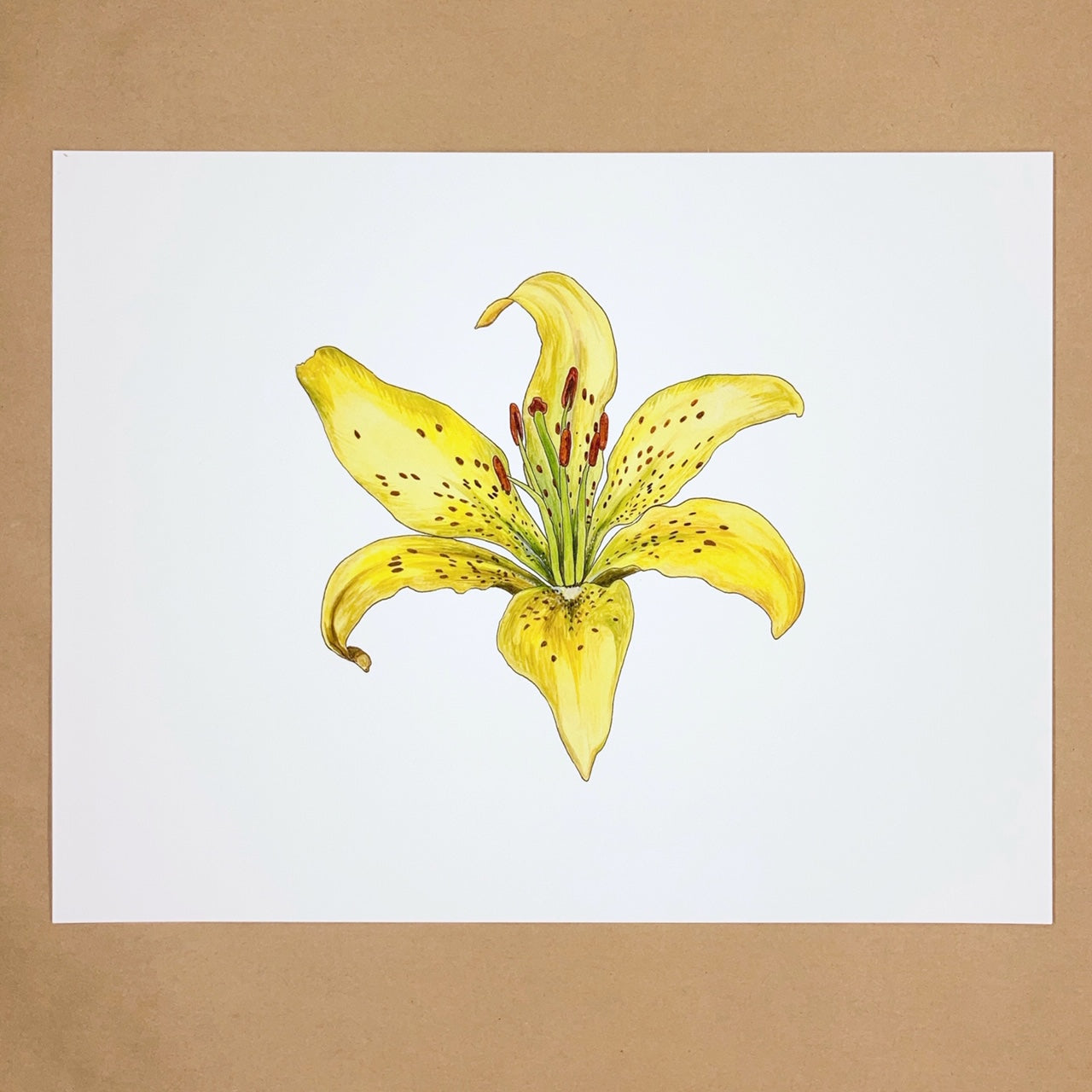 Tiger Lily Print