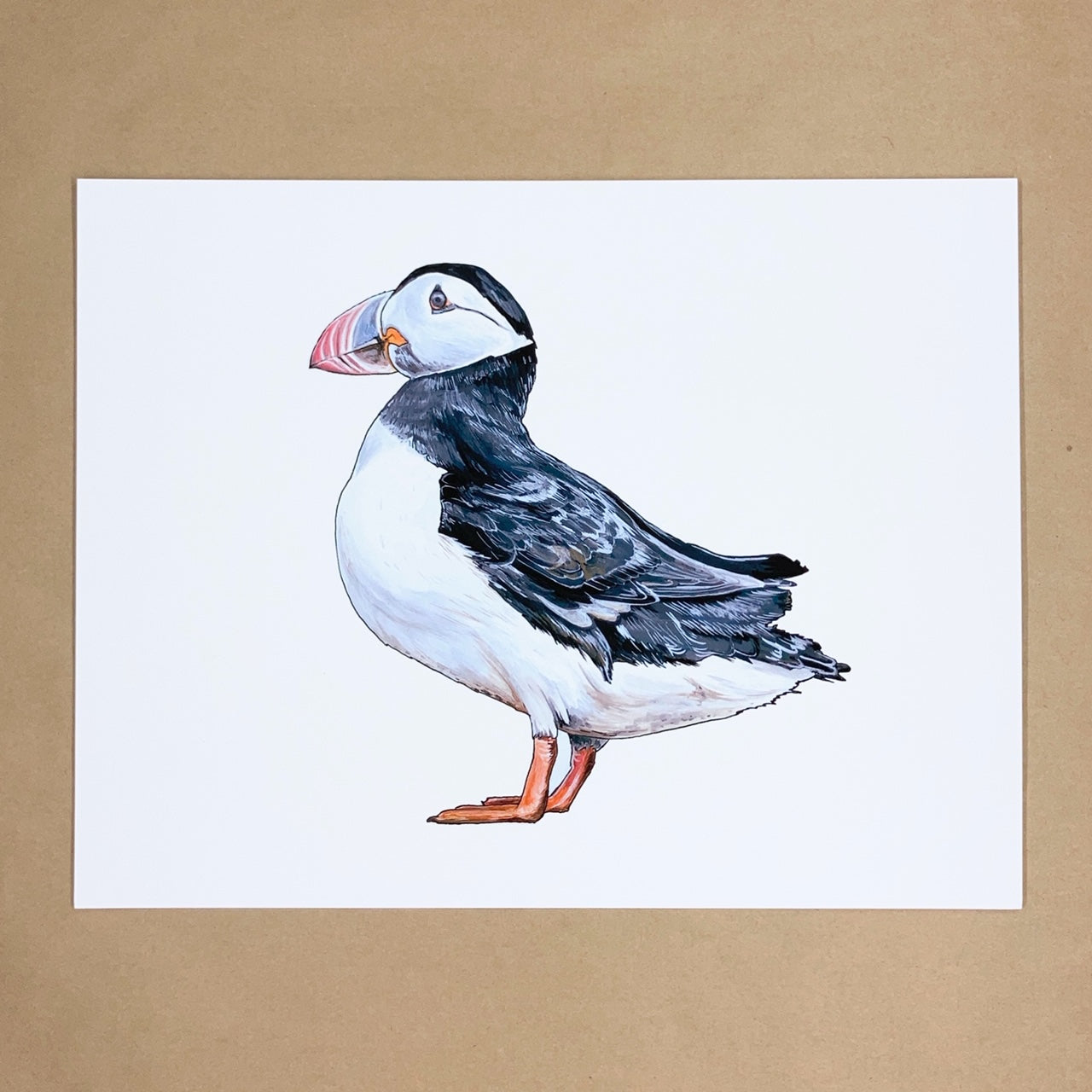 Puffin Print