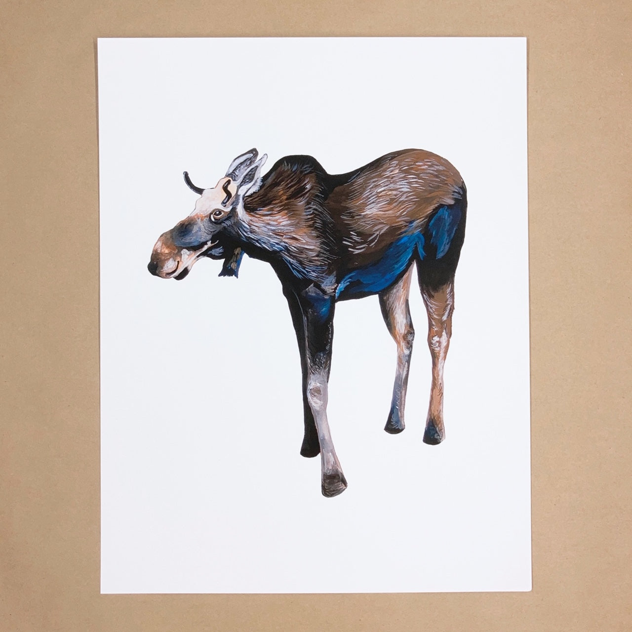 Moose Print