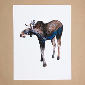 Moose Print