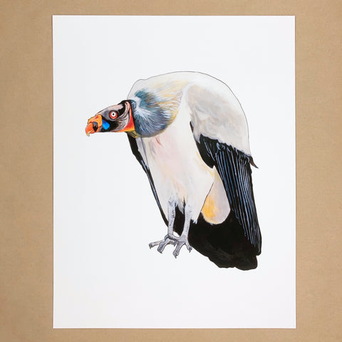 Vulture Print