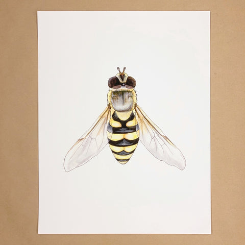 Hoverfly Print