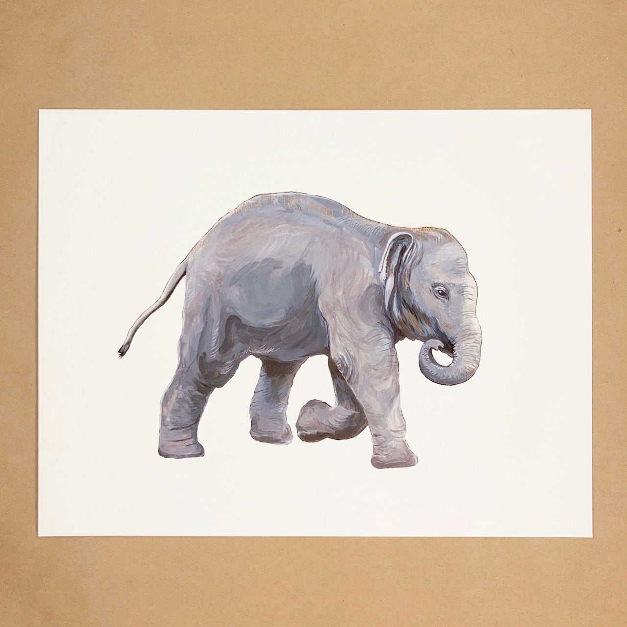 Baby Elephant Print