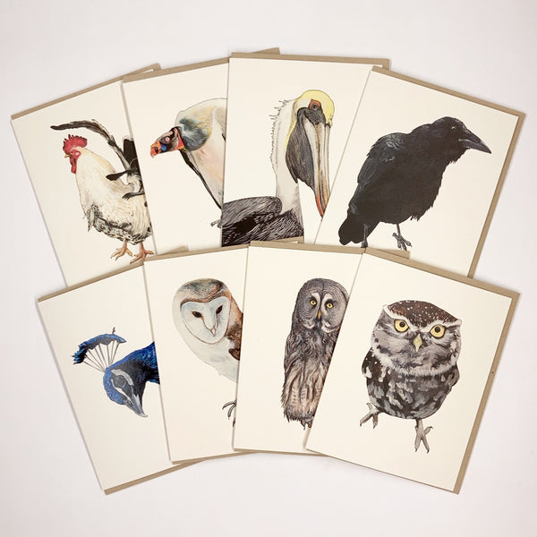 Bird 8 Card Set