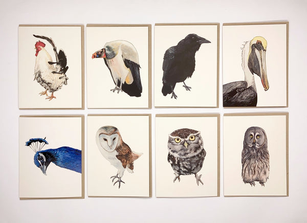 Bird 8 Card Set