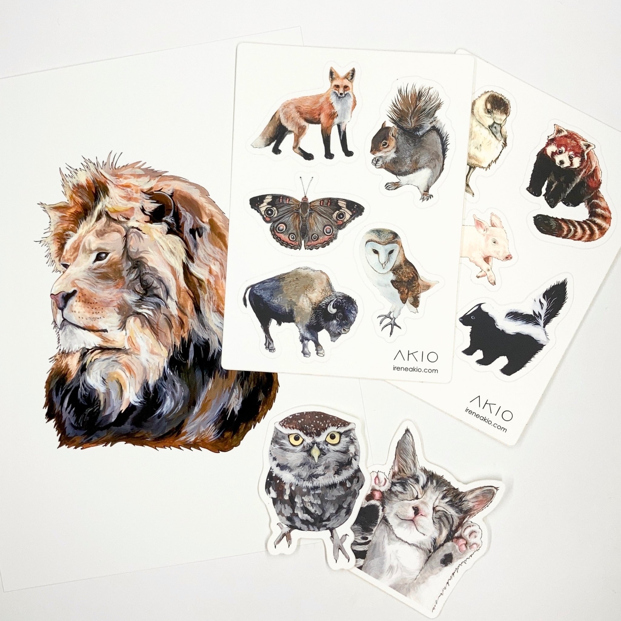 Kid Gift Bundle