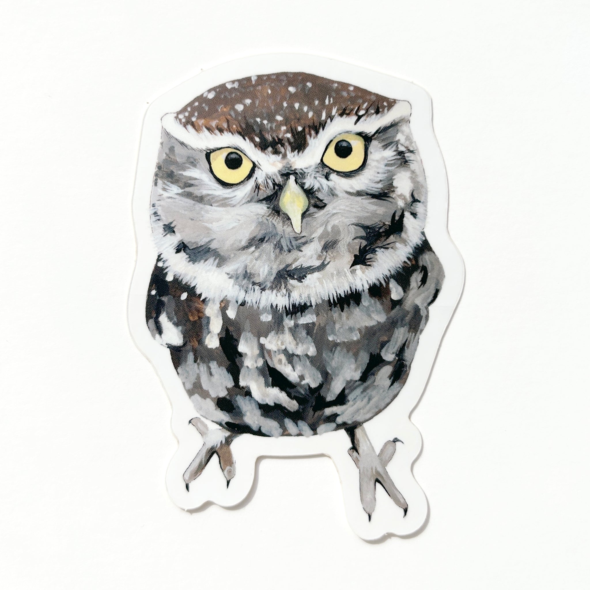 Little Owl Sticker