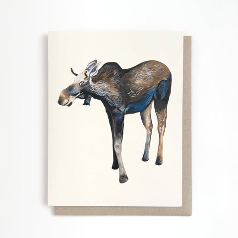 Moose Card