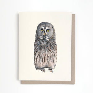 Great Grey Owl Card