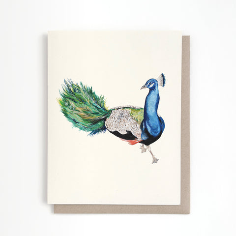 Peacock Card