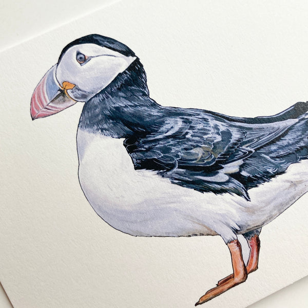 Puffin Card