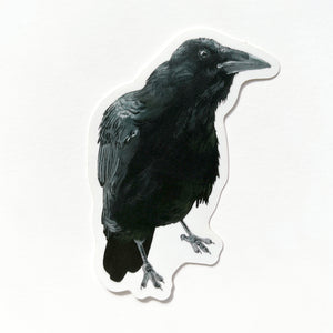 Raven Sticker