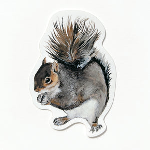 Squirrel Sticker