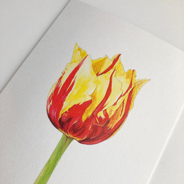 Tulip Card