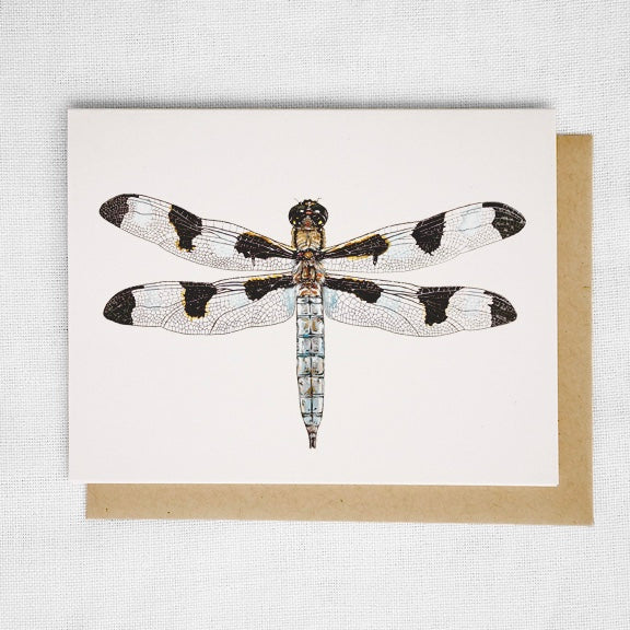 Insect 8 Card Set