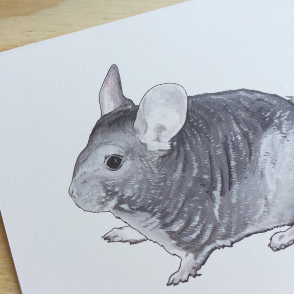 Chinchilla Card