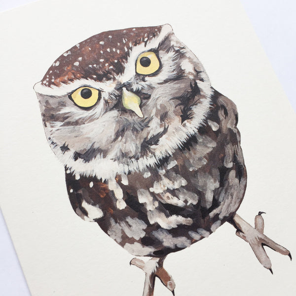 Little Owl Card