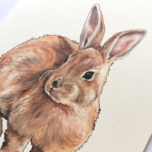 Bunny Card