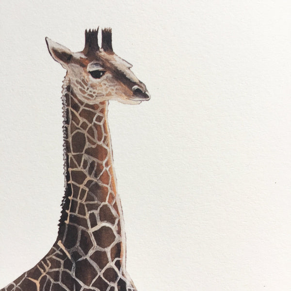Giraffe Card