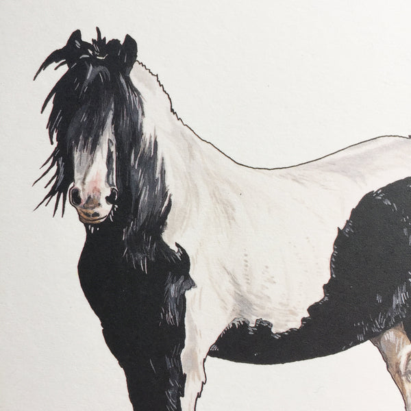 Clydesdale Horse Card