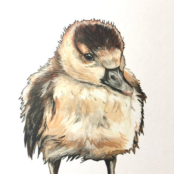Duckling Card