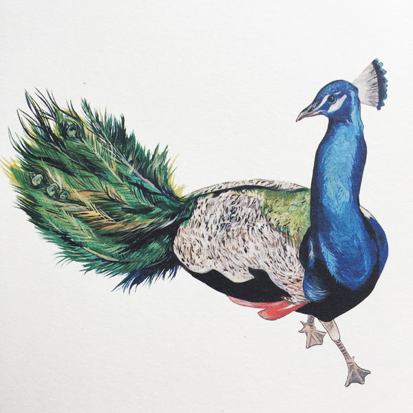 Peacock Card