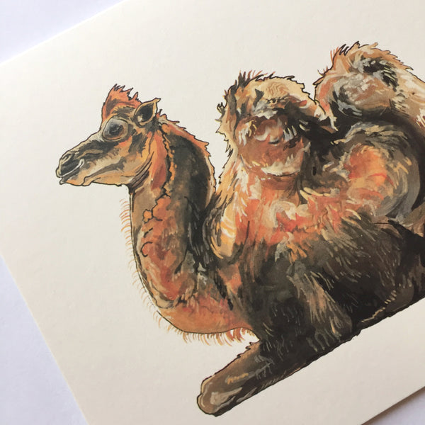 Camel Card