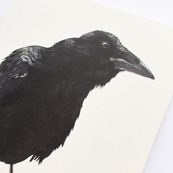 Raven Card