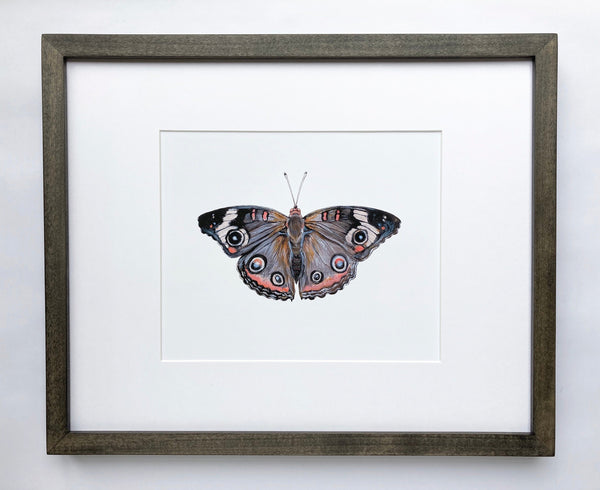 Butterfly Print