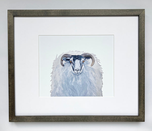 Horned Sheep Print