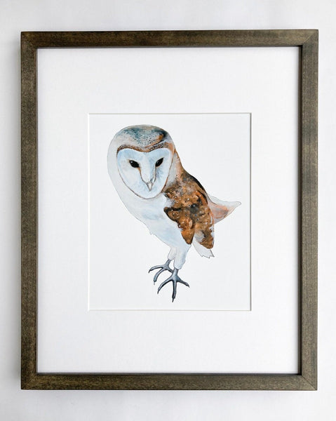 Barn Owl Print